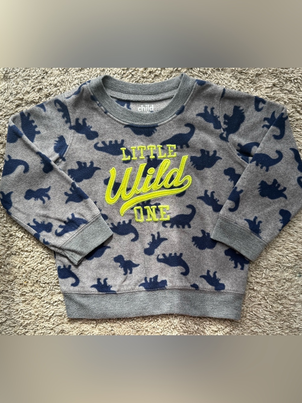 Carter’s Child of Mine Little Wild One Dinosaur Fleece Sweatshirt 24M